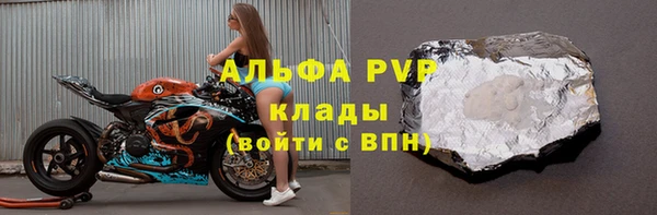круглые Гусев