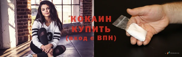 круглые Гусев