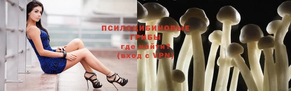 спиды Горняк