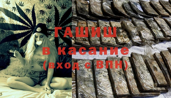 гидра Горнозаводск