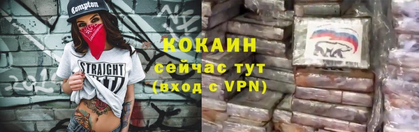 круглые Гусев