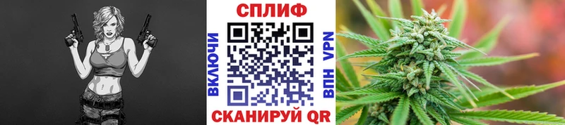 Бошки Шишки сатива Жуковка